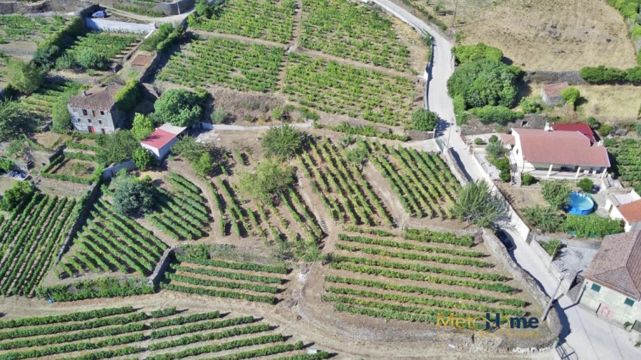 Terreno para Venda em Provesende, Gouvães Douro, São Cristóvão Douro