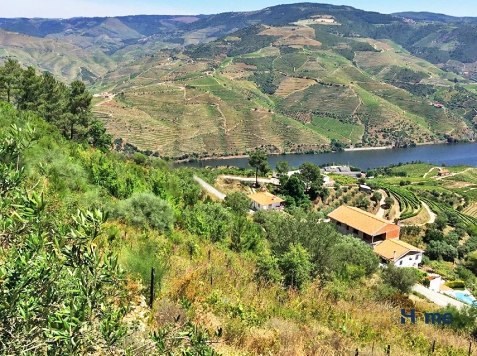 Terreno para Venda em Vila Seca e Santo Adrião Foto 2