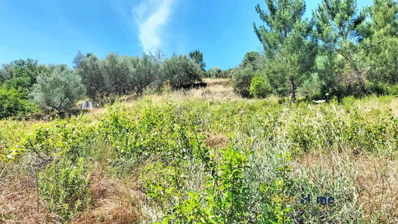 Terreno para Venda em Vila Seca e Santo Adrião Foto 4