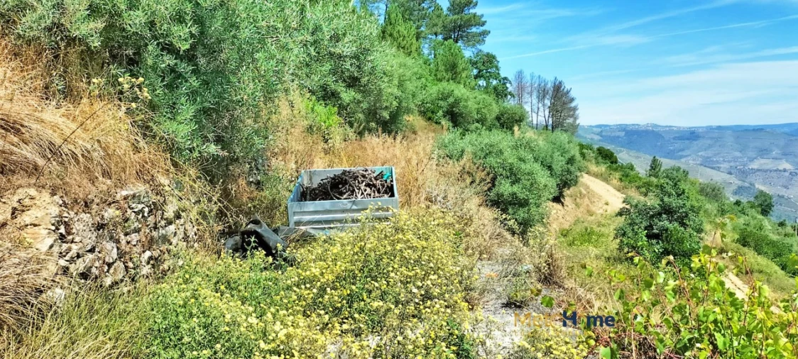 Terreno para Venda em Vila Seca e Santo Adrião Foto 10