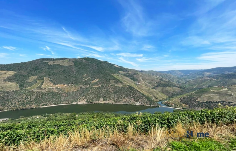 Terreno para Venda em Vila Seca e Santo Adrião Foto 14