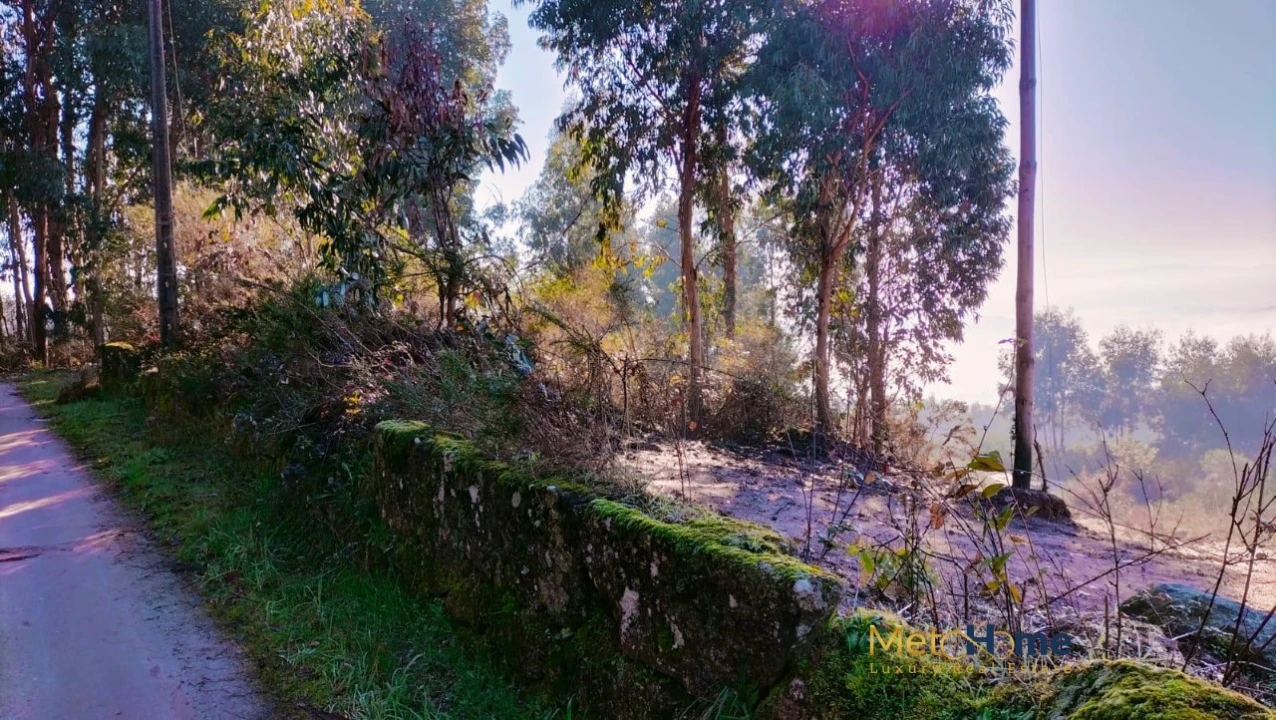 Terreno para Venda em Travanca Foto 6