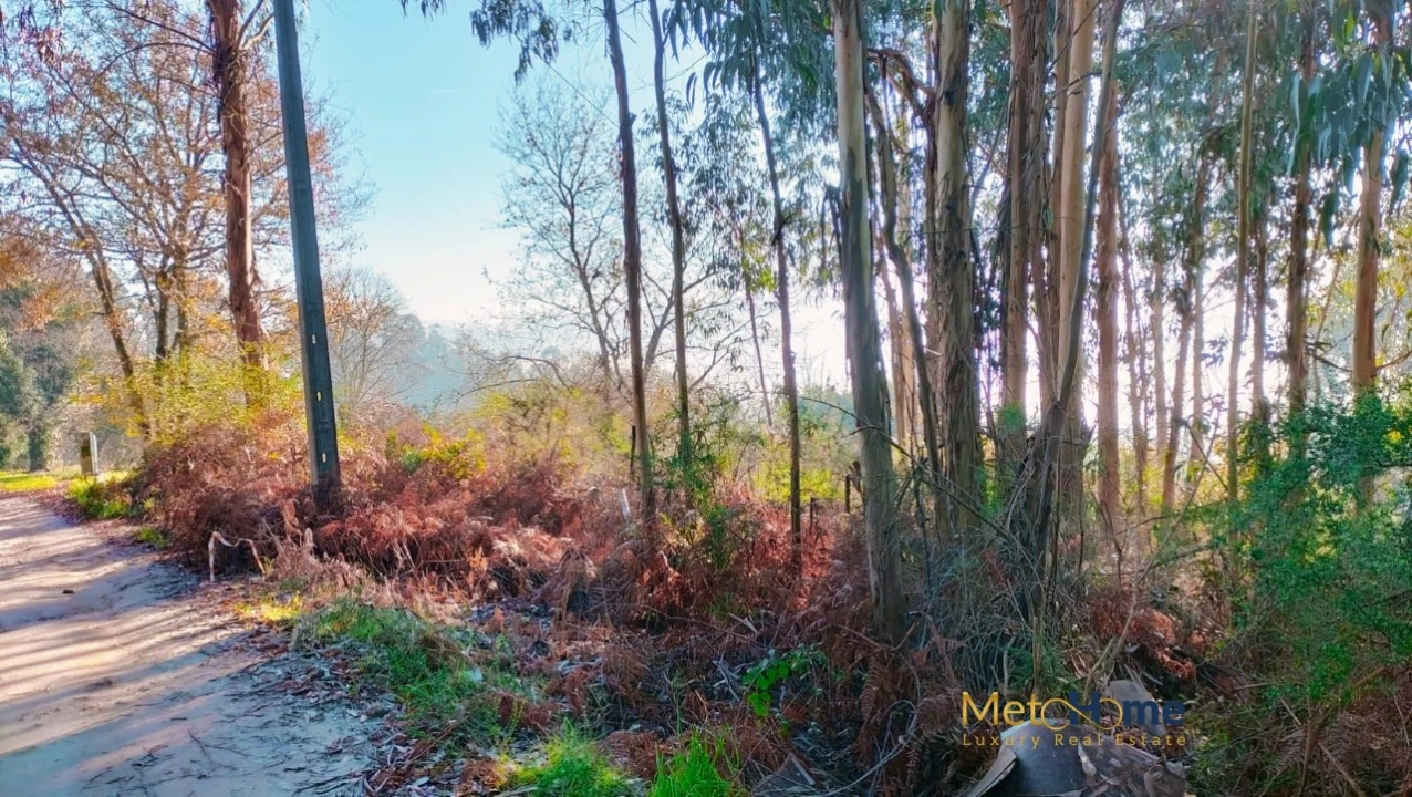 Terreno para Venda em Travanca Foto 7