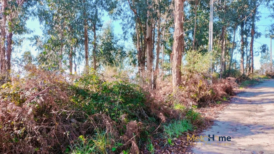 Terreno para Venda em Travanca