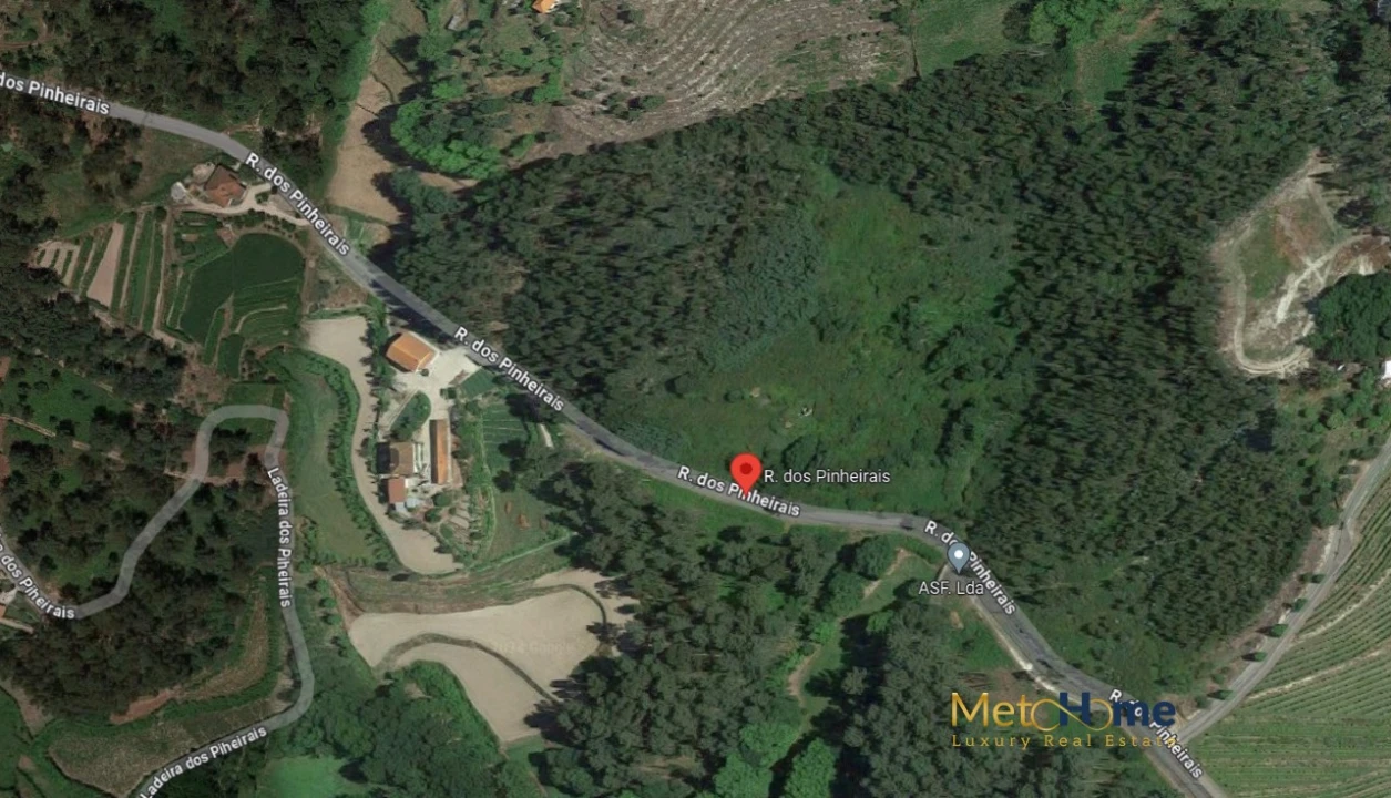 Terreno para Venda em Travanca Foto 2