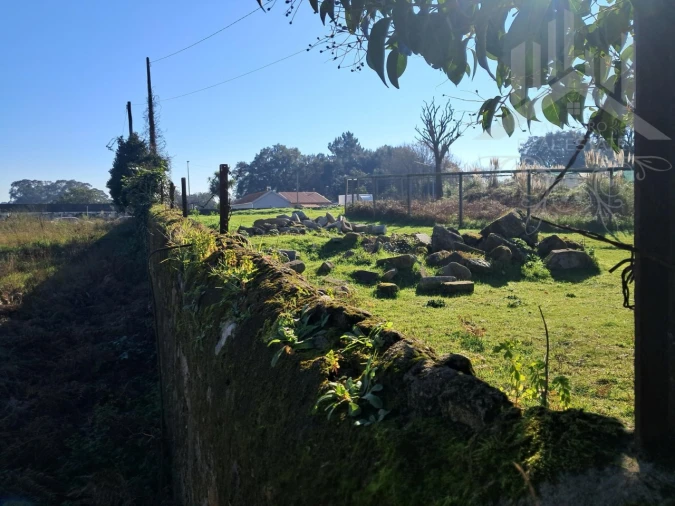Terreno para Venda em Campanhã Foto 9