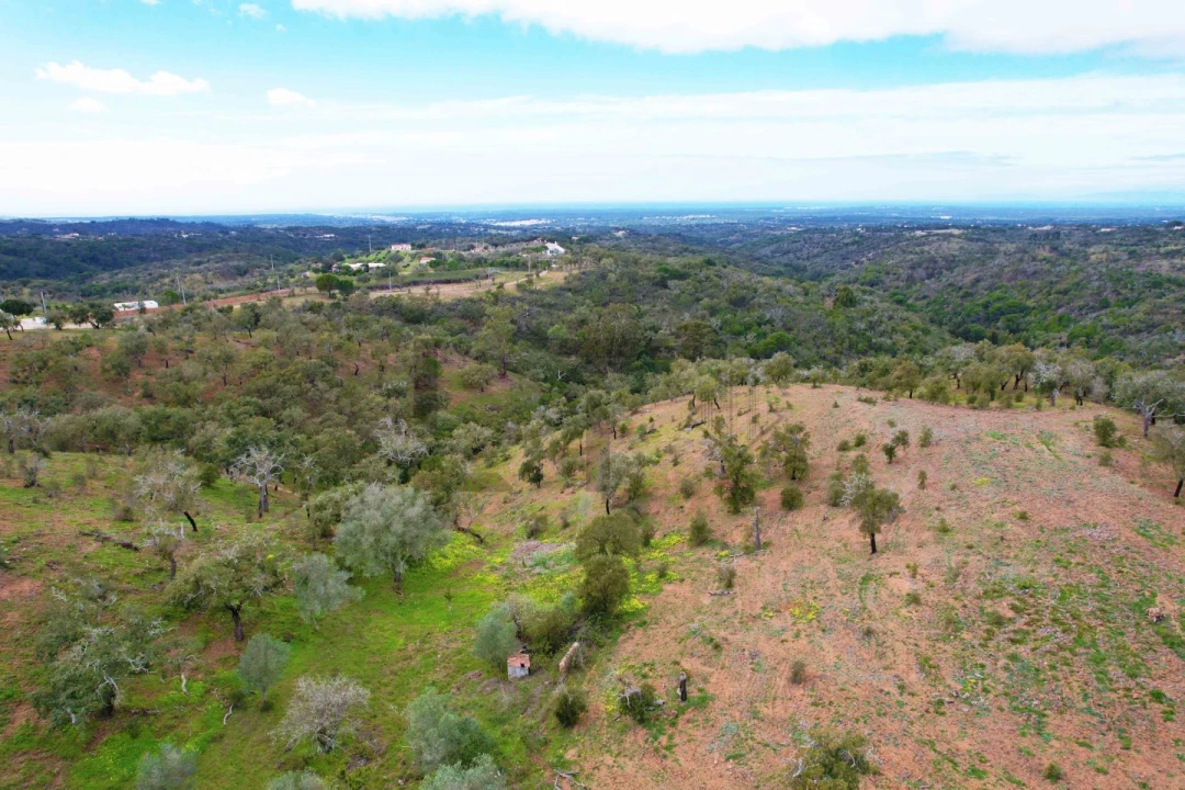 Terreno para Venda em Melides Foto 17
