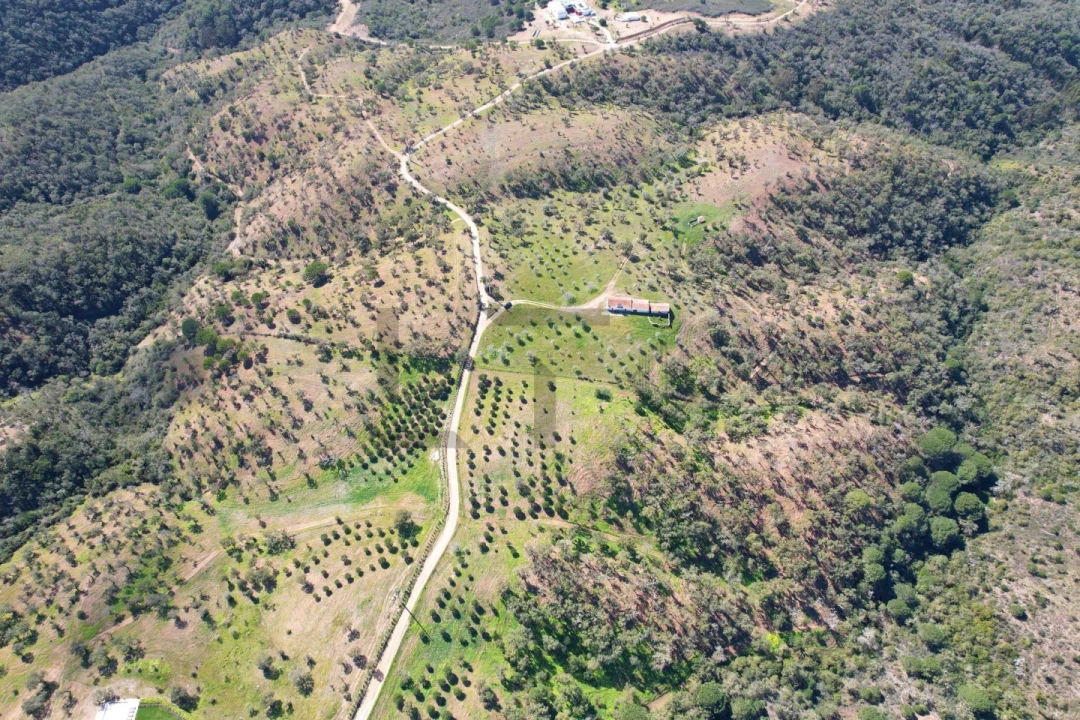 Terreno para Venda em Melides Foto 24