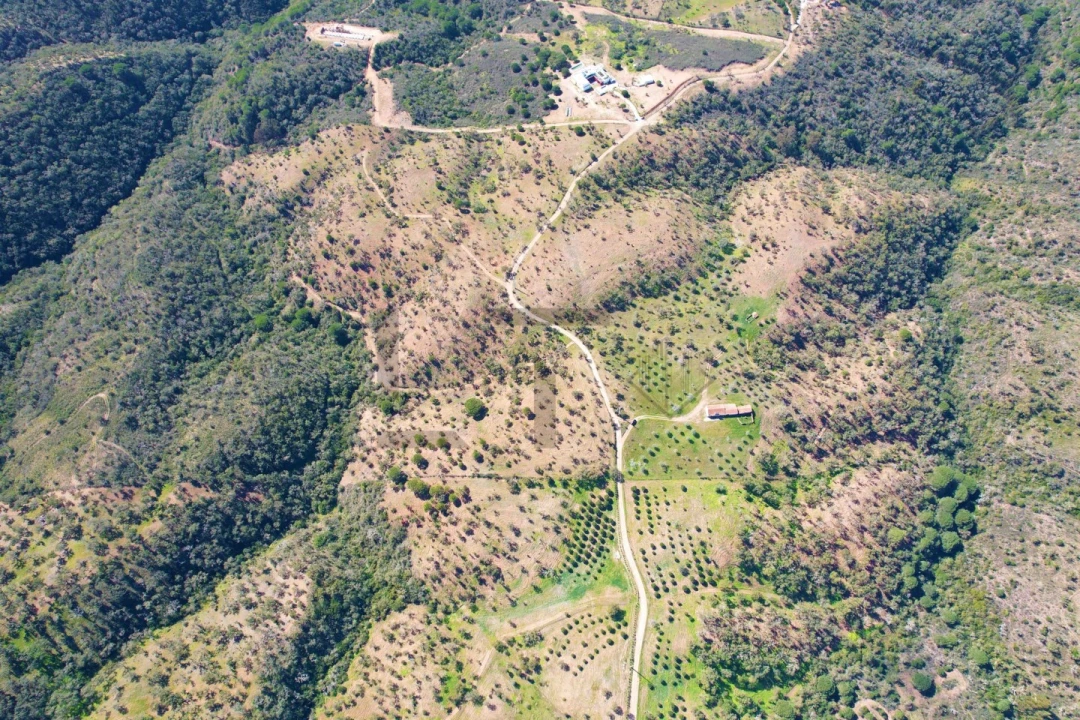 Terreno para Venda em Melides Foto 26