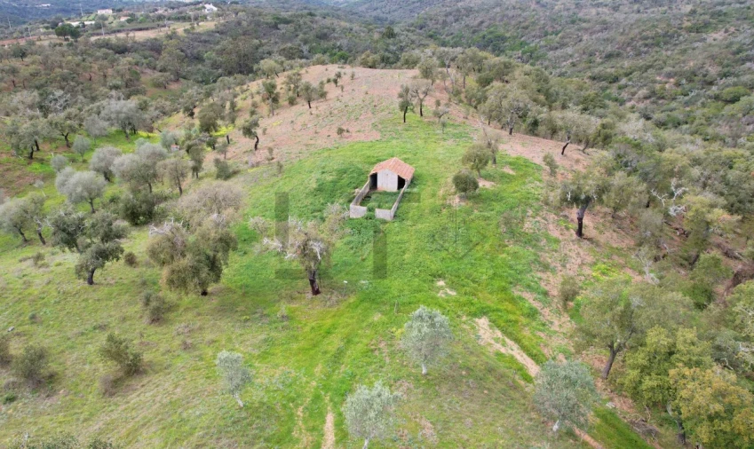 Terreno para Venda em Melides Foto 18