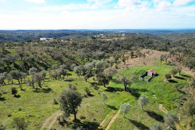 Terreno para Venda em Melides Foto 29