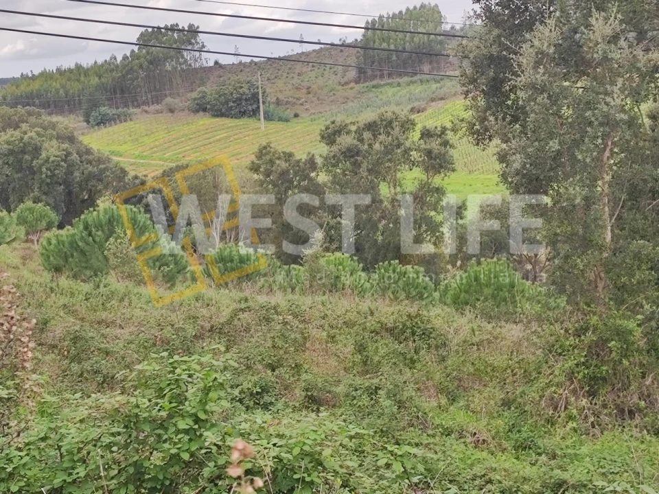 Terreno para Venda em Vilar Foto 3