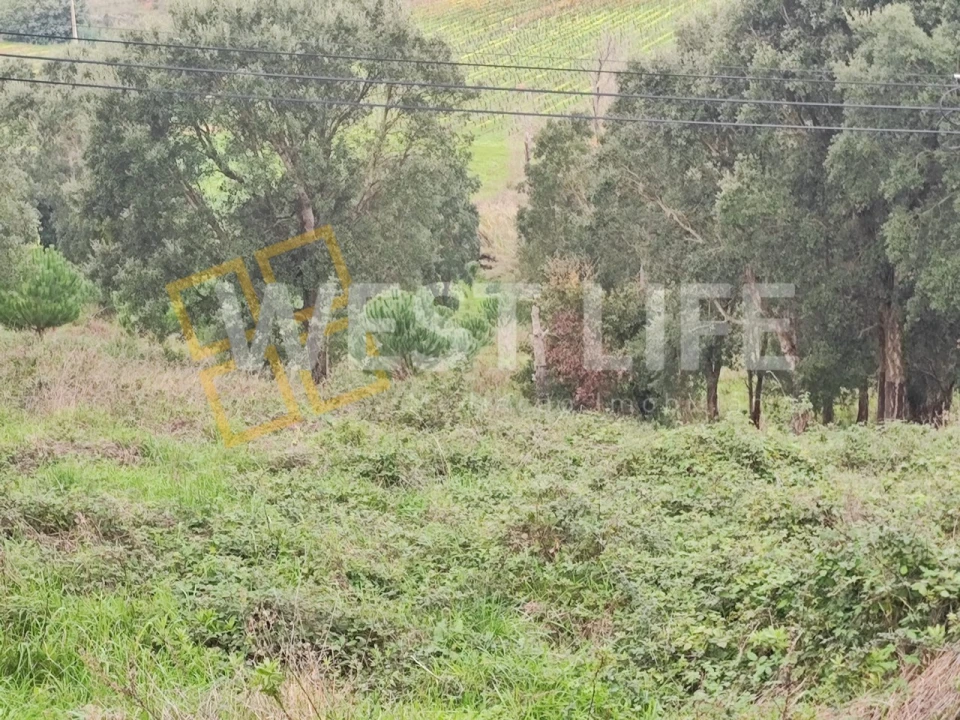 Terreno para Venda em Vilar Foto 6