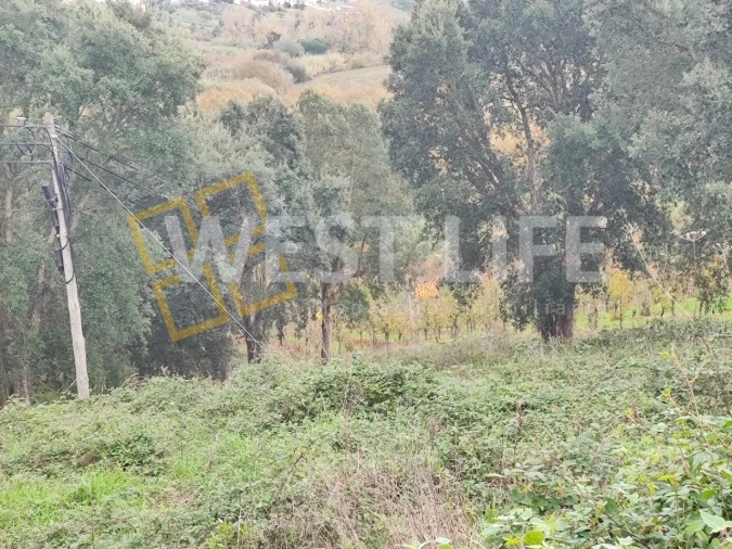 Terreno para Venda em Vilar Foto 8