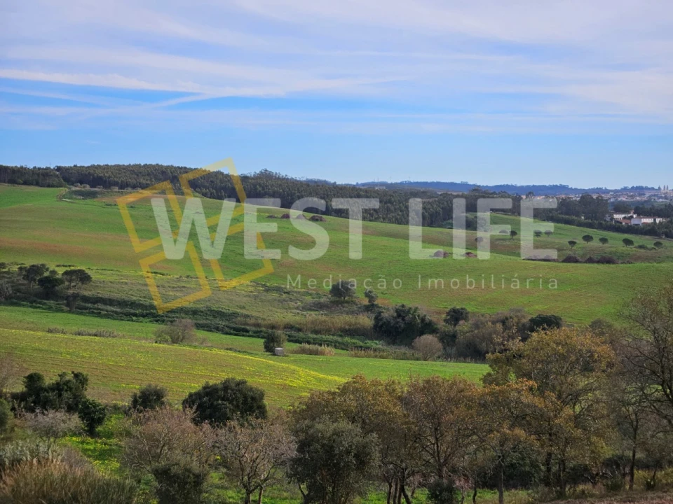 Terreno para Venda em Santo Isidoro Foto 1