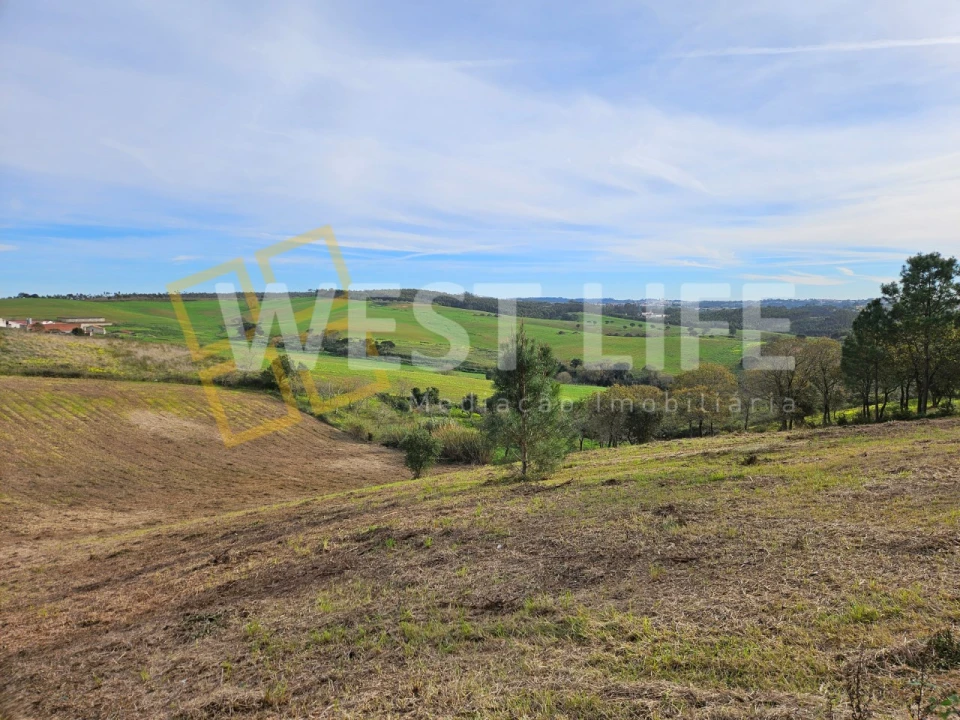 Terreno para Venda em Santo Isidoro Foto 5