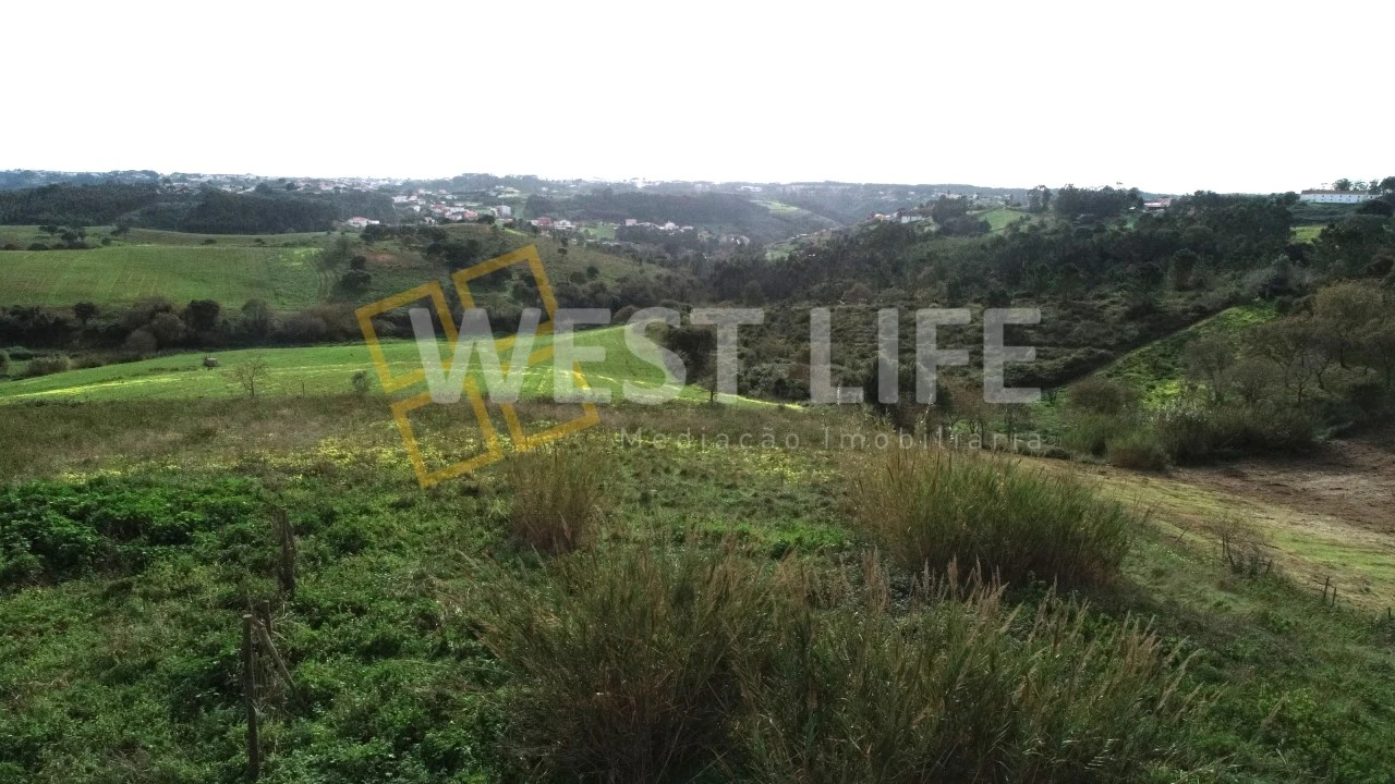 Terreno para Venda em Santo Isidoro Foto 13