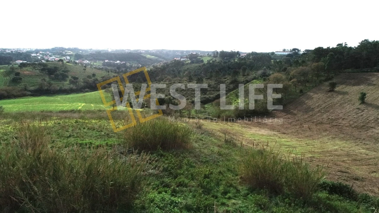Terreno para Venda em Santo Isidoro Foto 16