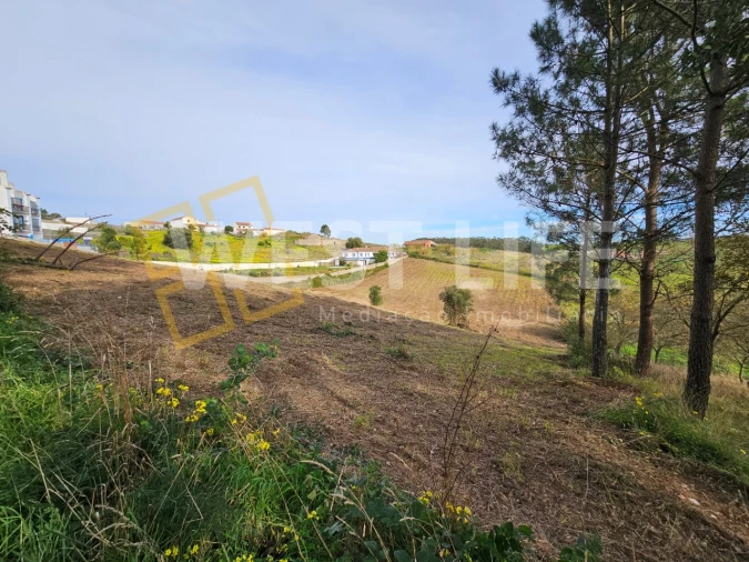 Terreno para Venda em Santo Isidoro Foto 6