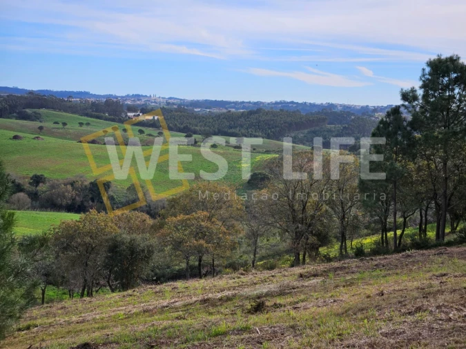 Terreno para Venda em Santo Isidoro Foto 8