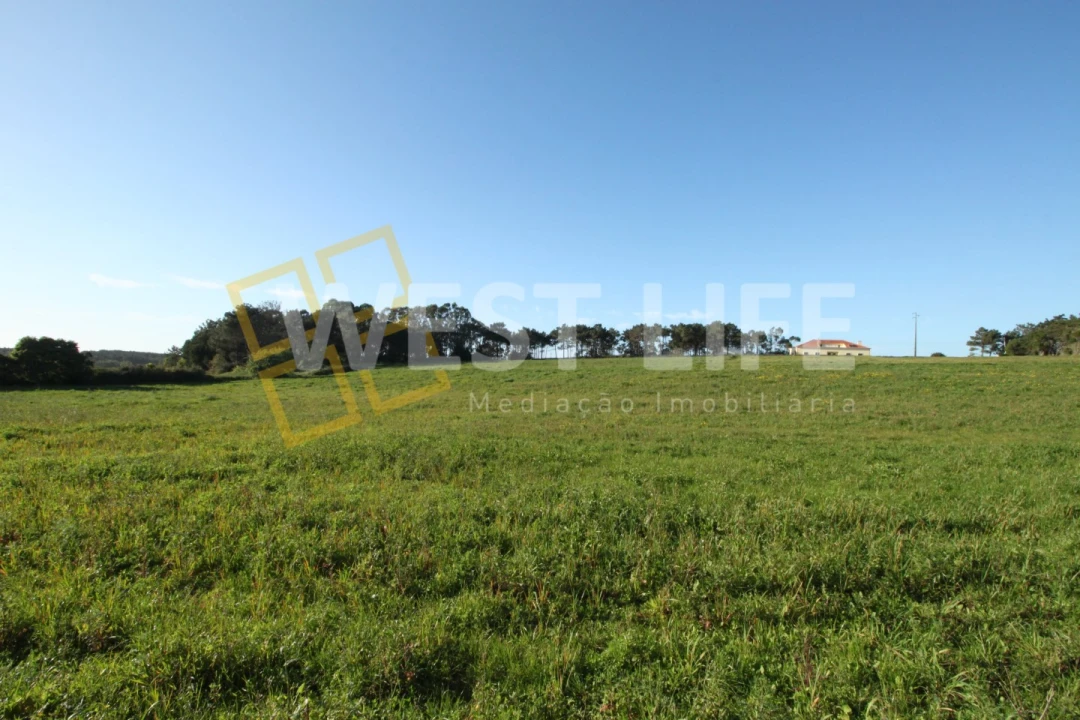 Terreno para Venda em Ericeira Foto 15