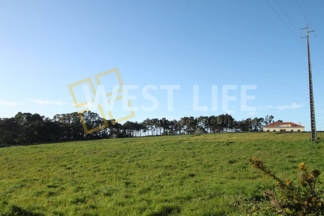 Terreno para Venda em Ericeira Foto 7