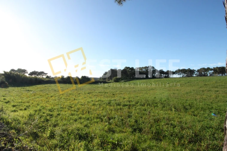 Terreno para Venda em Ericeira Foto 11