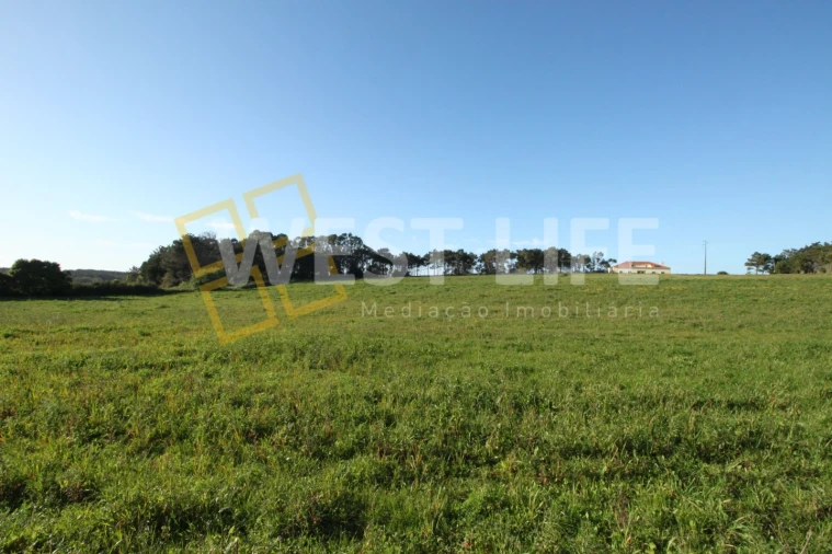 Terreno para Venda em Ericeira Foto 15