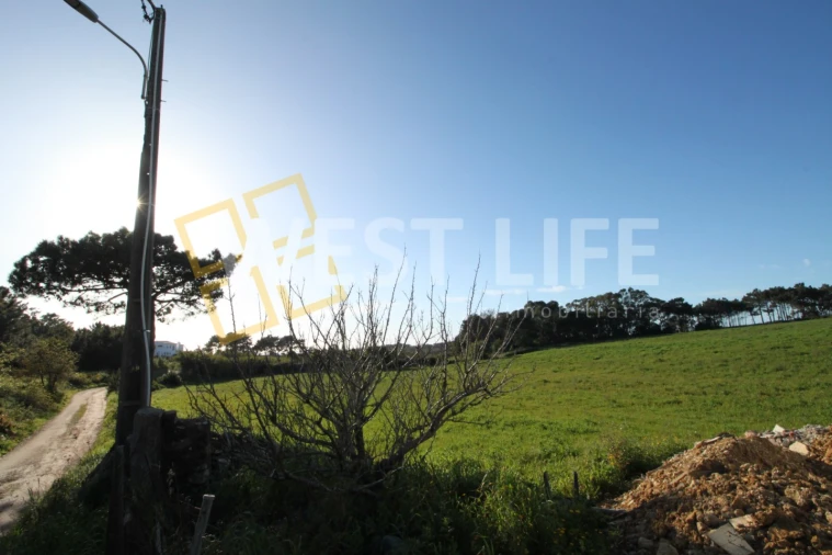 Terreno para Venda em Ericeira Foto 5