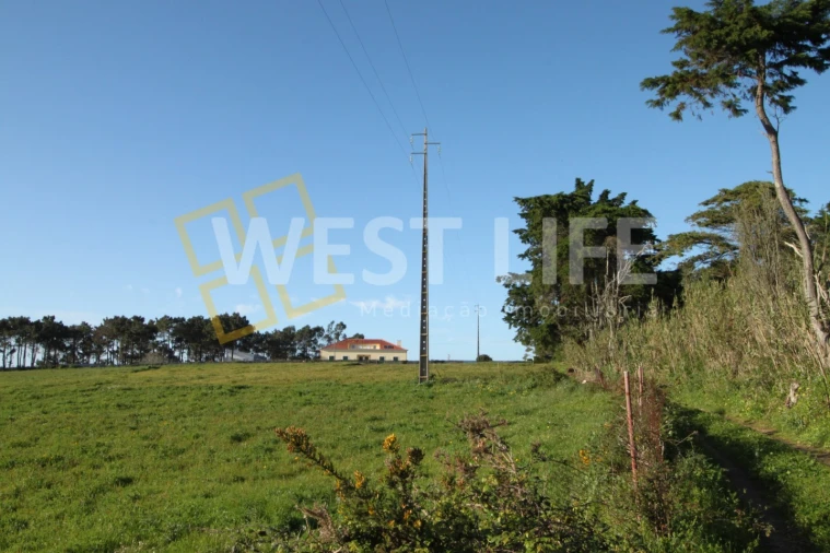 Terreno para Venda em Ericeira Foto 19