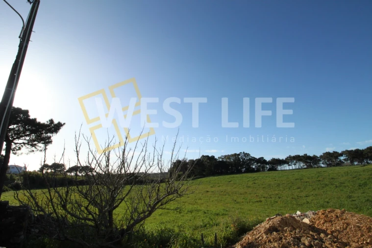 Terreno para Venda em Ericeira Foto 18
