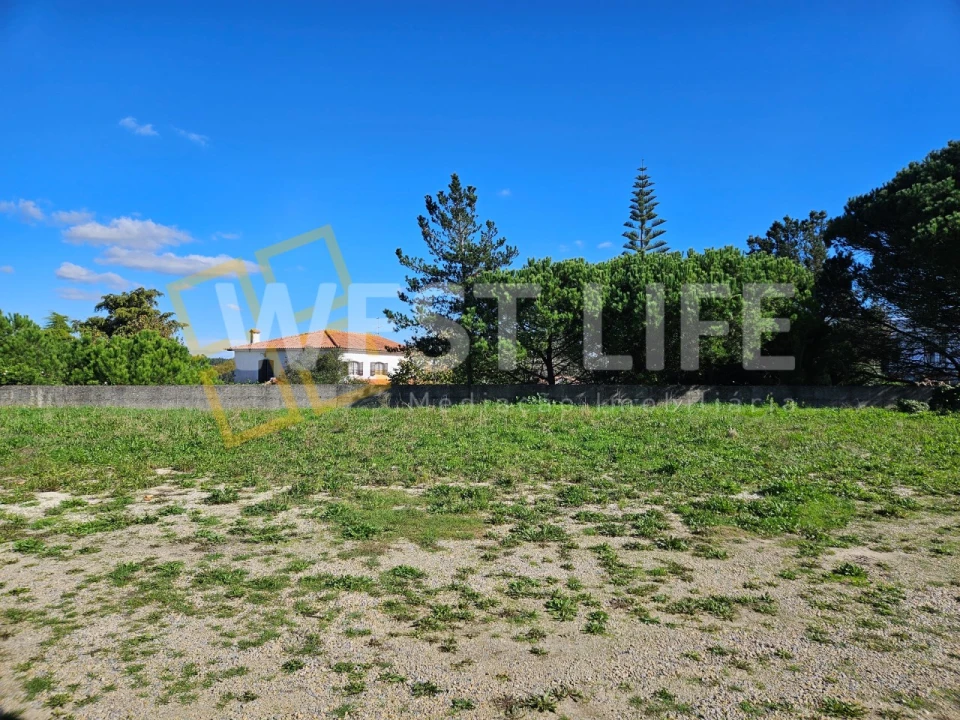 Terreno para Arrendamento em Mafra Foto 3