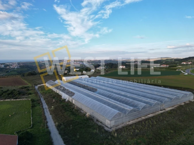 Terreno para Venda em Ericeira Foto 9