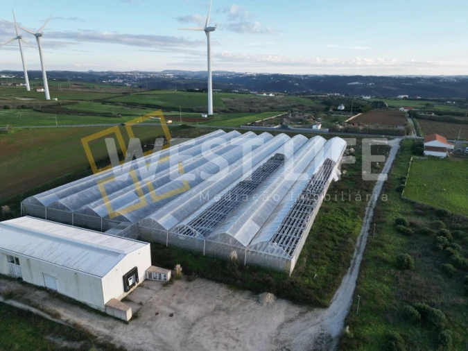 Terreno para Venda em Ericeira Foto 10