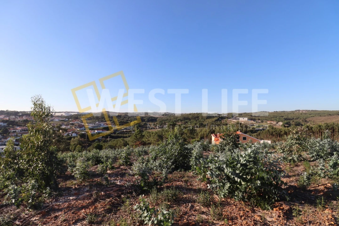 Terreno para Venda em Ponte do Rol Foto 12
