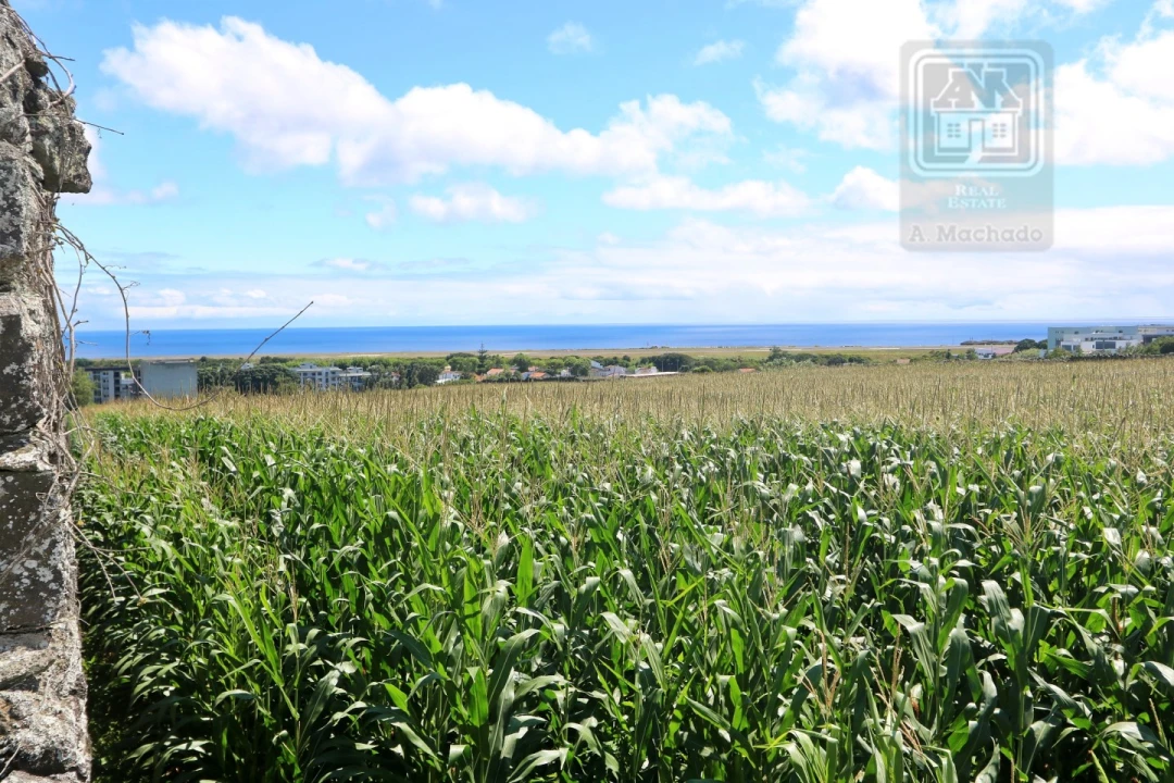 Terreno para Venda em Santa Clara Foto 1
