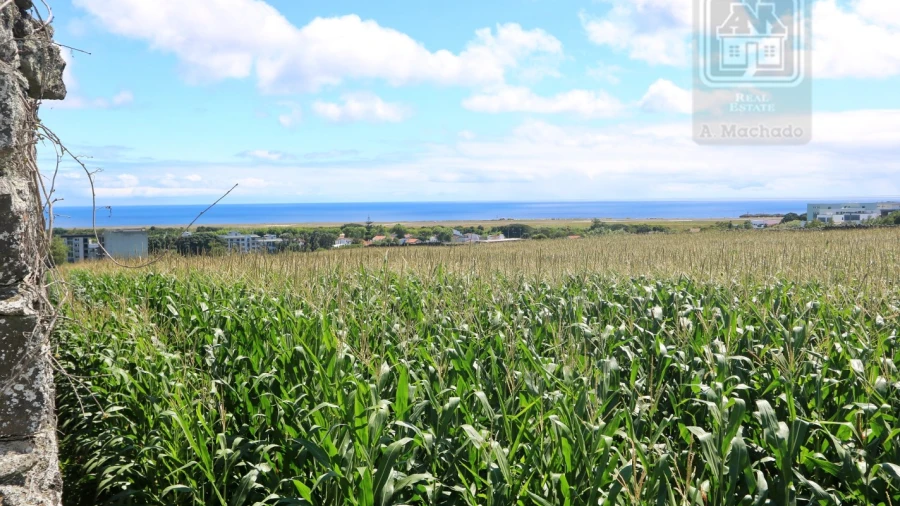 Terreno para Venda em Santa Clara