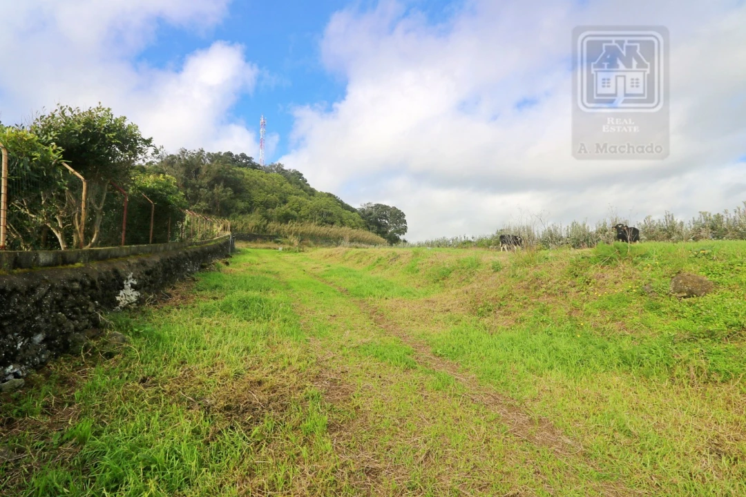 Terreno para Venda em Rosto do Cão (São Roque) Foto 8