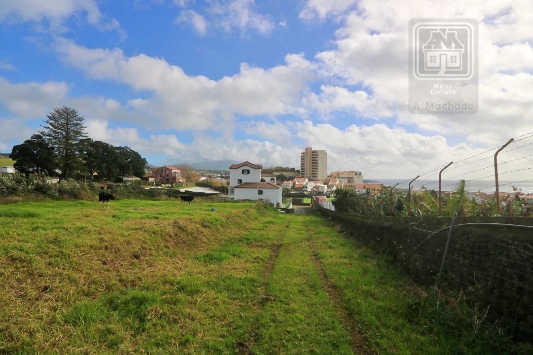 Terreno para Venda em Rosto do Cão (São Roque) Foto 9