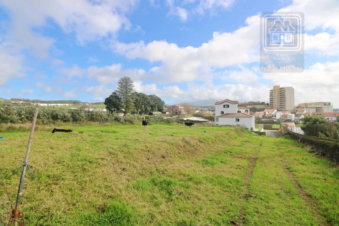 Terreno para Venda em Rosto do Cão (São Roque) Foto 10