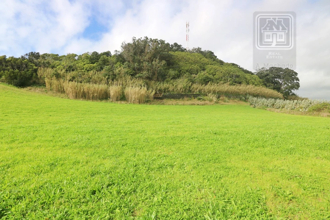 Terreno para Venda em Rosto do Cão (São Roque) Foto 12