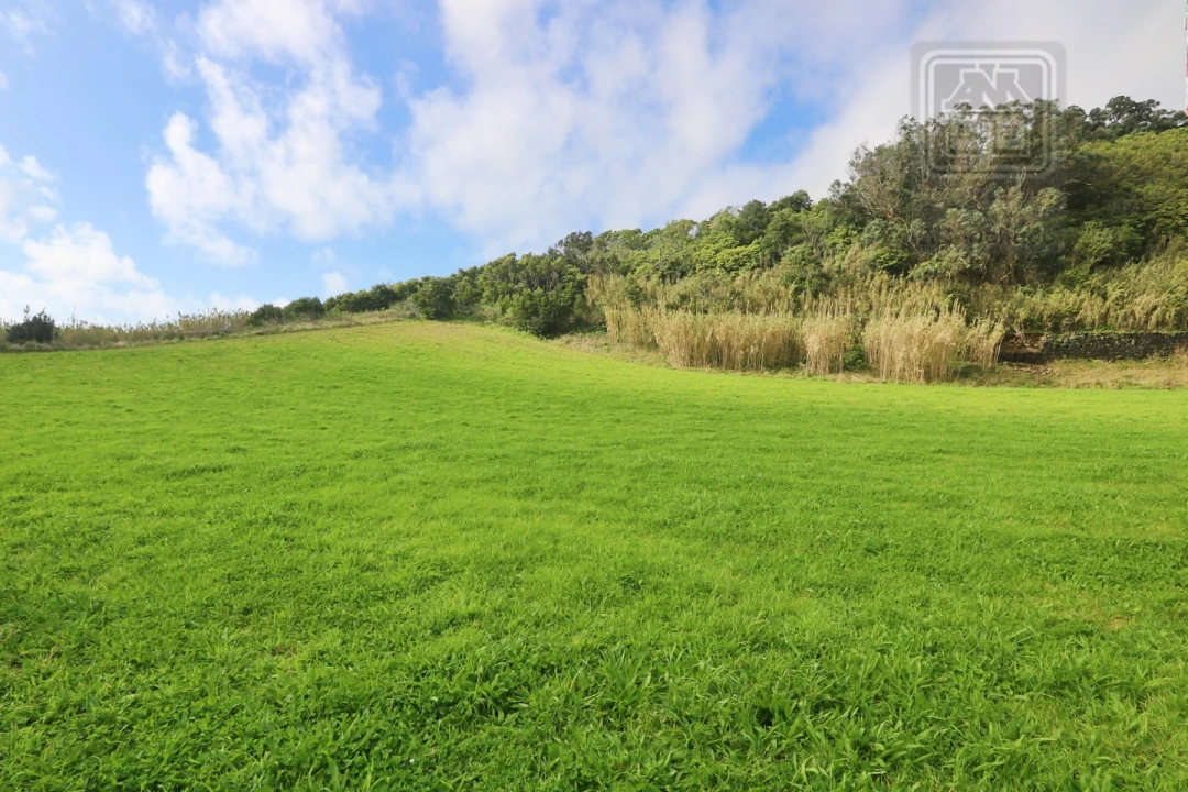 Terreno para Venda em Rosto do Cão (São Roque) Foto 13