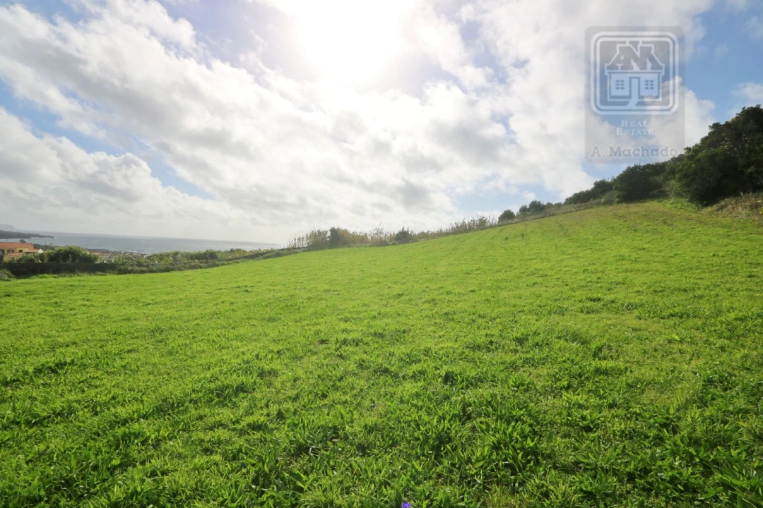 Terreno para Venda em Rosto do Cão (São Roque) Foto 16