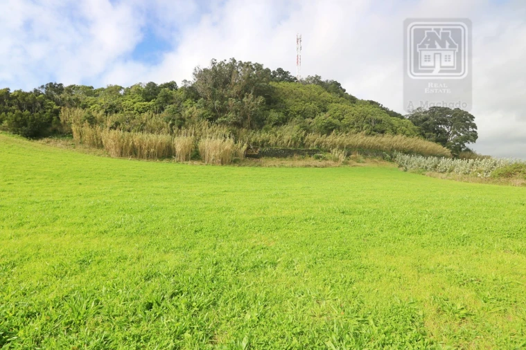Terreno para Venda em Rosto do Cão (São Roque) Foto 12