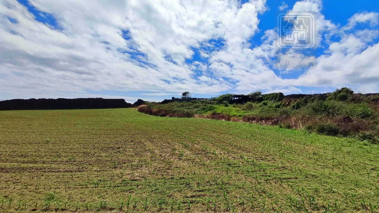 Terreno para Venda em Ponta Delgada (São José) Foto 14