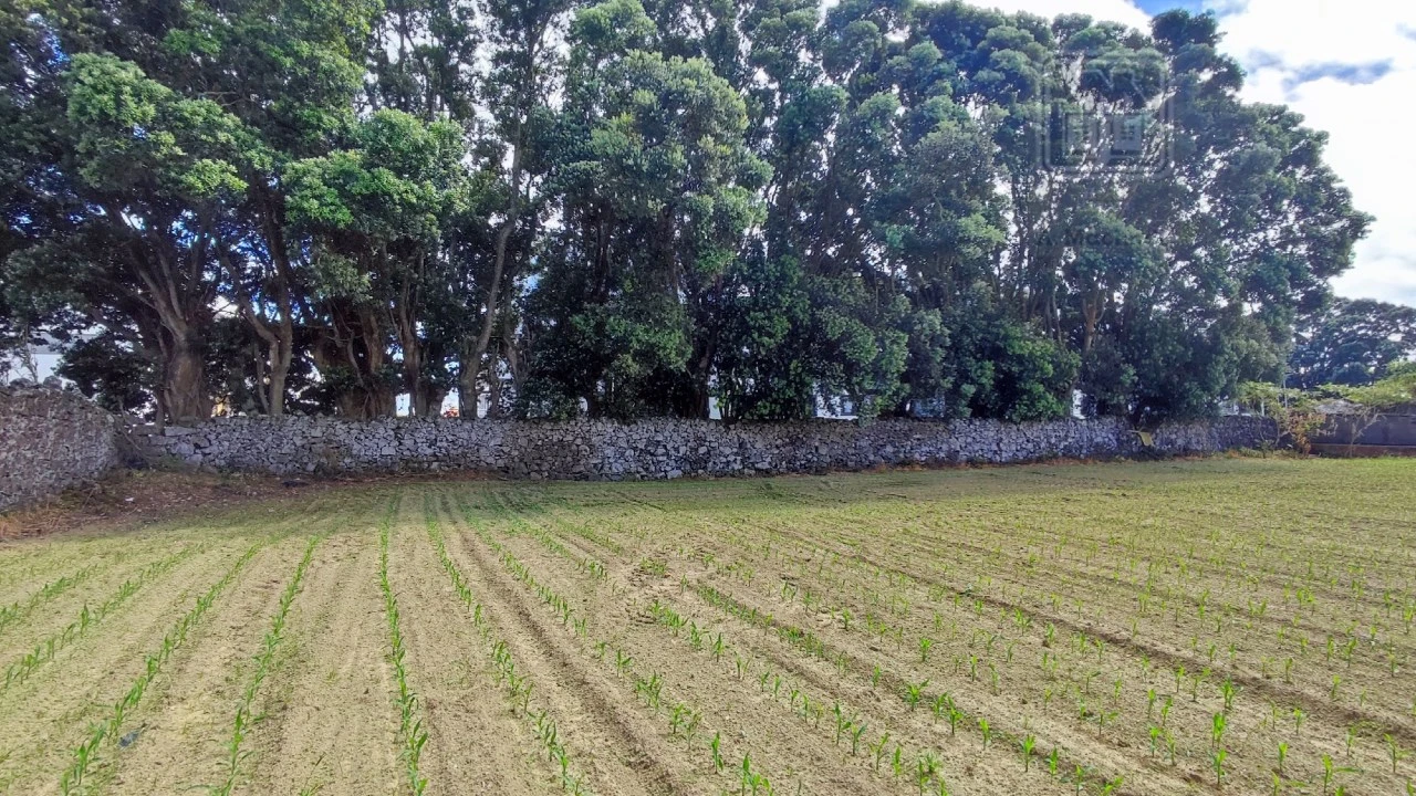 Terreno para Venda em Ponta Delgada (São José) Foto 47