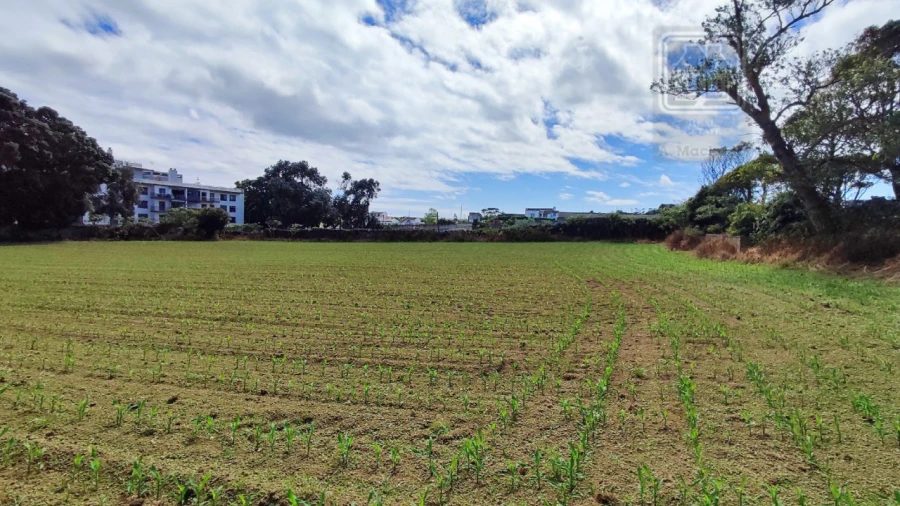 Terreno para Venda em Ponta Delgada (São José) Foto 46