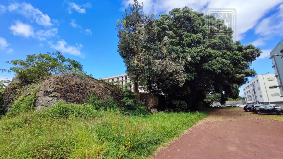 Terreno para Venda em Ponta Delgada (São José) Foto 53