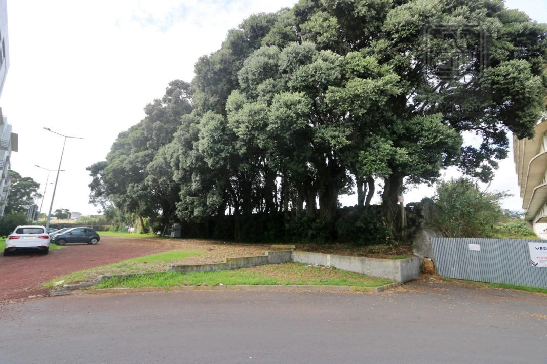 Terreno para Venda em Santa Clara Foto 11