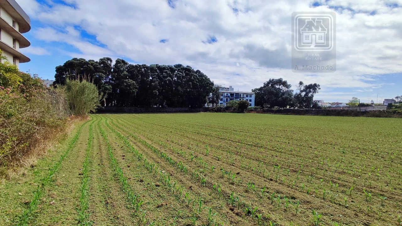 Terreno para Venda em Santa Clara Foto 5